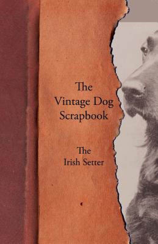 【预售】The Vintage Dog Scrapbook - The Irish Setter