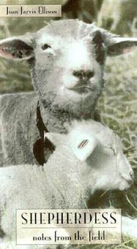 美国库房发货，通常付款后5-8周到货！