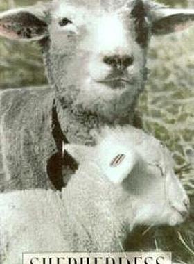 【预售】Shepherdess: Notes from the Field