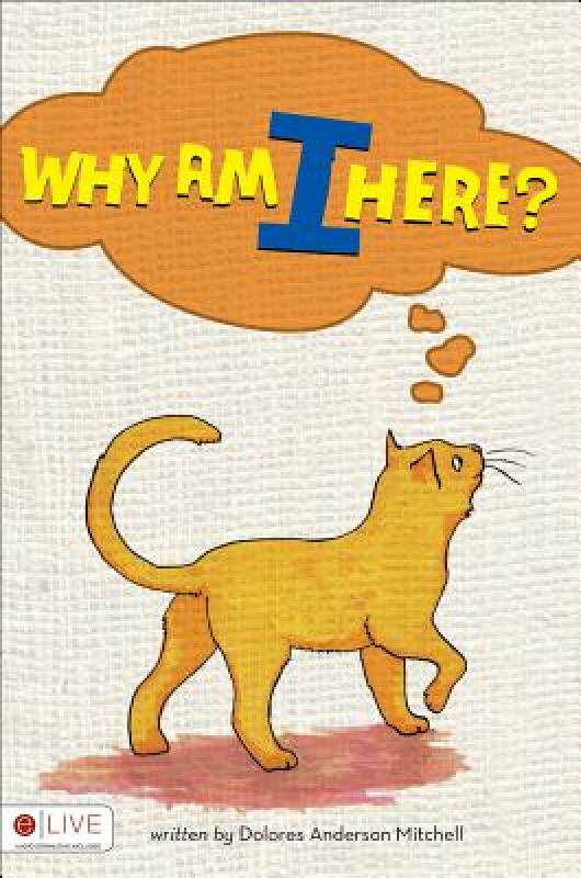 【预售】why am i here?