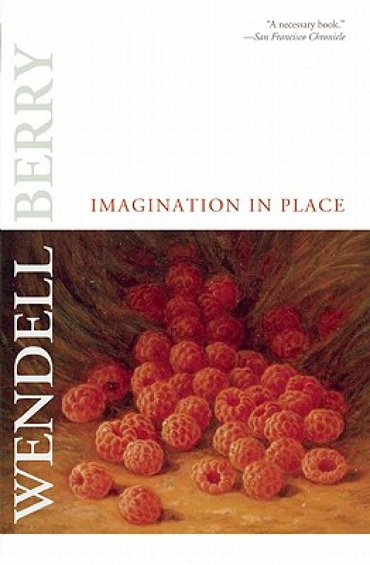 【预售】Imagination in Place: Essays