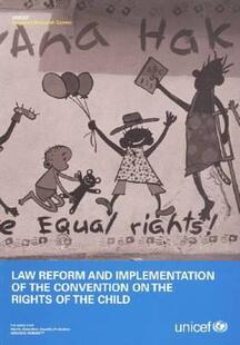 Implementation Convention and the Reform Law 预售