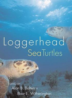 【预售】Loggerhead Sea Turtles