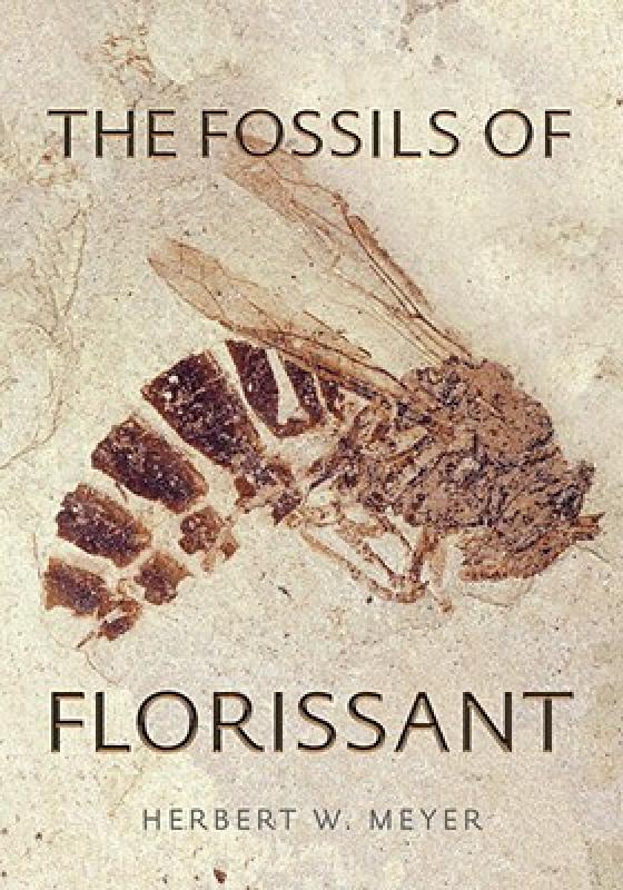 【预售】The Fossils of Florissant