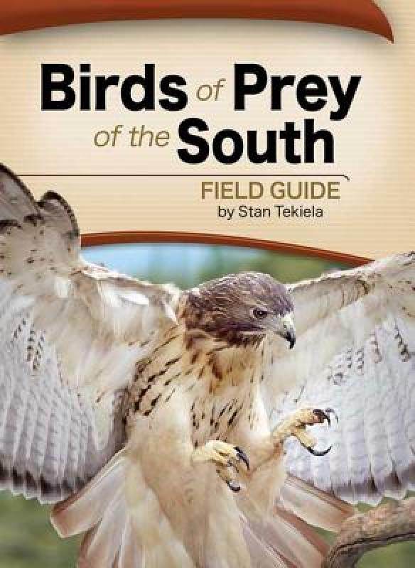【预售】Birds of Prey of the South Field Guide