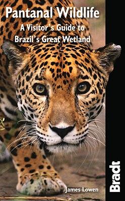 【预售】Bradt Pantanal Wildlife: A Visitor's Guide to