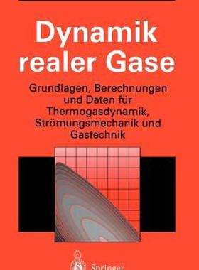 【预售】Dynamik Realer Gase: Grundlagen, Uber Echnungen Und