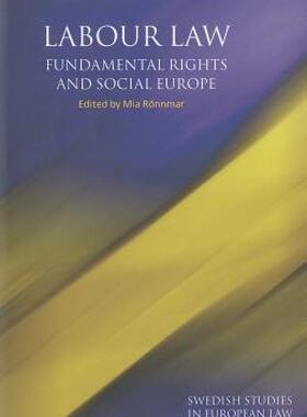 【预售】Labour Law, Fundamental Rights and Social Europe