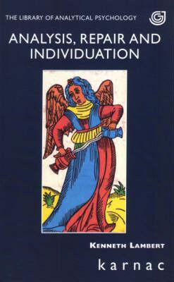 【预售】Analysis, Repair and Individuation