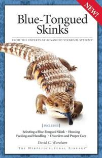 Tongued 預(yù)售 Blue Skinks