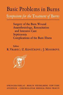 【预售】Basic Problems in Burns: Proceedings of the