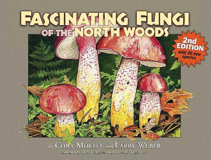 【预售】Fascinating Fungi of the North Woods