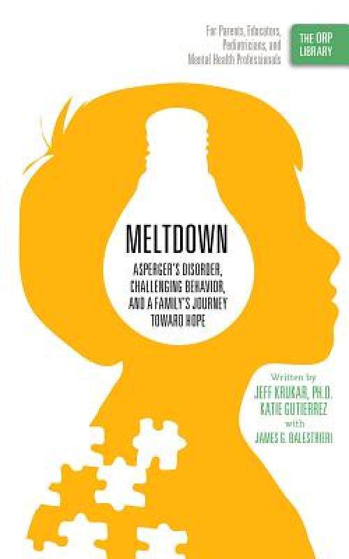 【预售】meltdown: aspergers disorder, challenging behavior