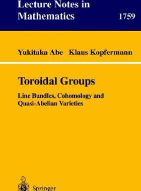 【预售】Toroidal Groups: Line Bundles, Cohomology and