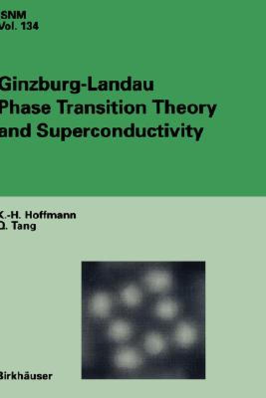 【预售】Ginzburg-Landau Phase Transition Theory and 书籍/杂志/报纸 原版其它 原图主图