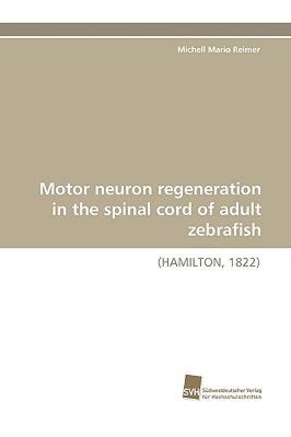 【预售】Motor Neuron Regeneration in the Spinal Cord of