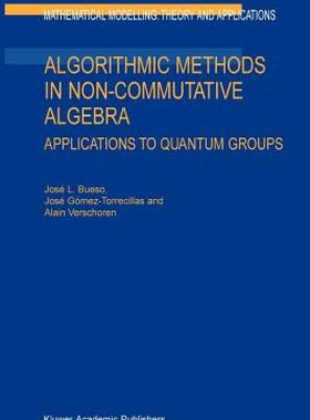 【预售】Algorithmic Methods in Non-Commutative Algebra: