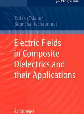 【预售】Electric Fields in Composite Dielectrics and Their