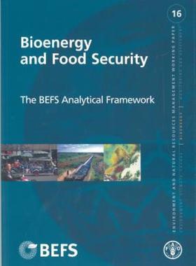 【预售】Bioenergy and Food Security: The Befs Analytical