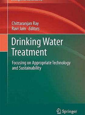 【预售】Drinking Water Treatment: Focusing on Appropriate