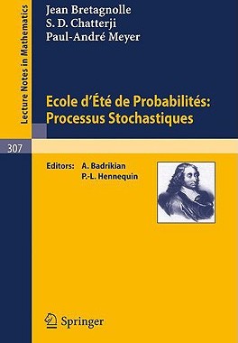 【预售】Ecole D'Ete de Probabilites: Processus