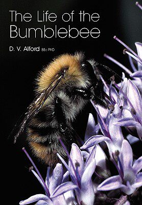 【预售】The Life of the Bumblebee
