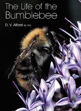 【预售】The Life of the Bumblebee