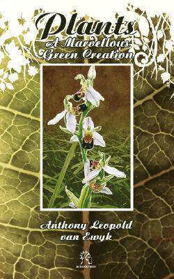 【预售】Plants: A Marvellous Green Creation