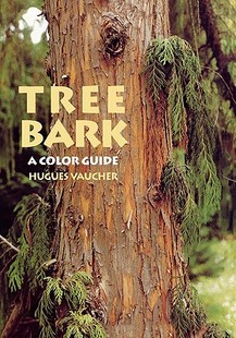 预售 Color Tree Guide Bark