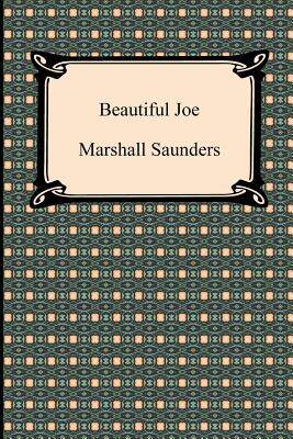 【预售】Beautiful Joe