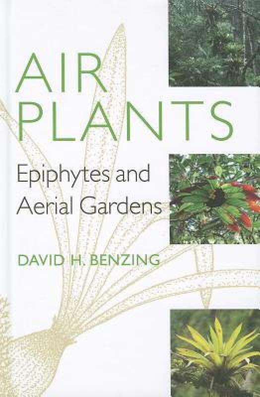 【预售】Air Plants: Epiphytes and Aerial Gardens
