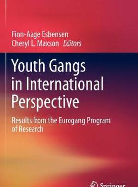 【预售】Youth Gangs in International Perspective: Results