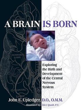 预订 【】A Brain Is Born: Exploring the Birth and Development