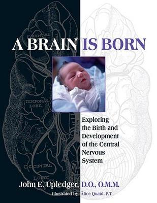 预订 【】A Brain Is Born: Exploring the Birth and Development