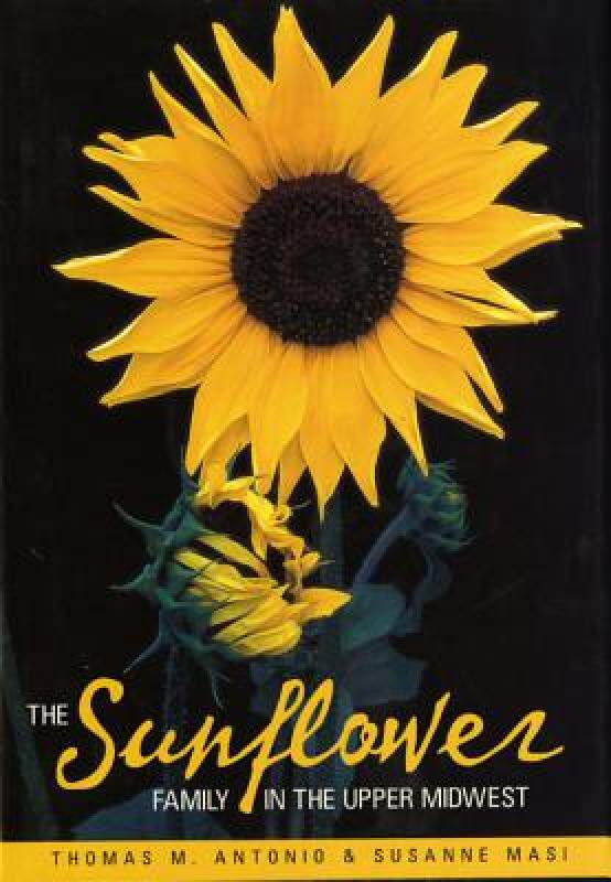 【预售】The Sunflower Family in the Upper Midwest: A