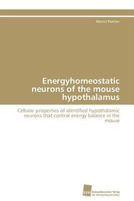 【预售】Energyhomeostatic Neurons of the Mouse Hypothalamus