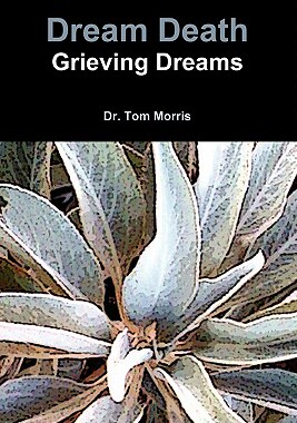 【预售】Dream Death: Grieving Dreams