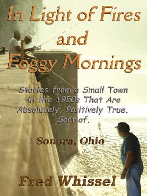 【预售】In Light of Fires and Foggy Mornings: Stories from a