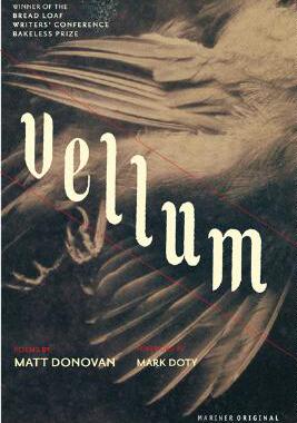 【预售】Vellum