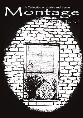 【预售】Montage: A Collection of Stories and Poems