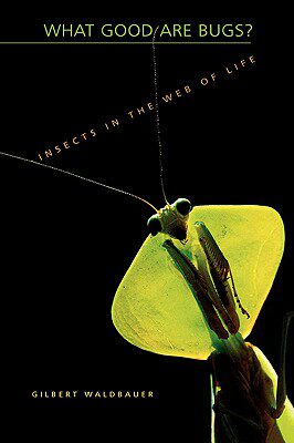 【预售】What Good Are Bugs?: Insects in the Web of Life
