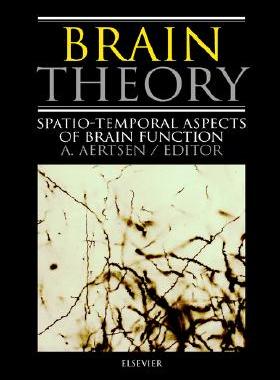 【预售】Brain Theory: Spatio-Temporal Aspects of Brain