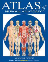 【预售】Atlas of Human Anatomy