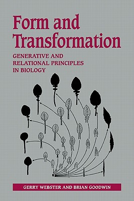 【预售】Form and Transformation: Generative and Relational
