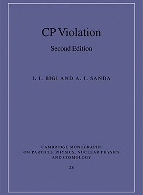 【预售】CP Violation
