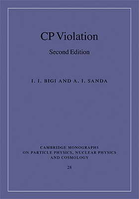 【预售】CP Violation