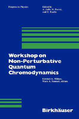 【预售】Workshop on Non-Perturbative Quantum Chromodynamics
