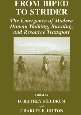 【预售】From Biped to Strider: The Emergence of Modern Human