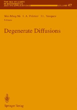 【预售】Degenerate Diffusions