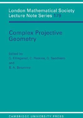 【预售】Complex Projective Geometry: Selected Papers
